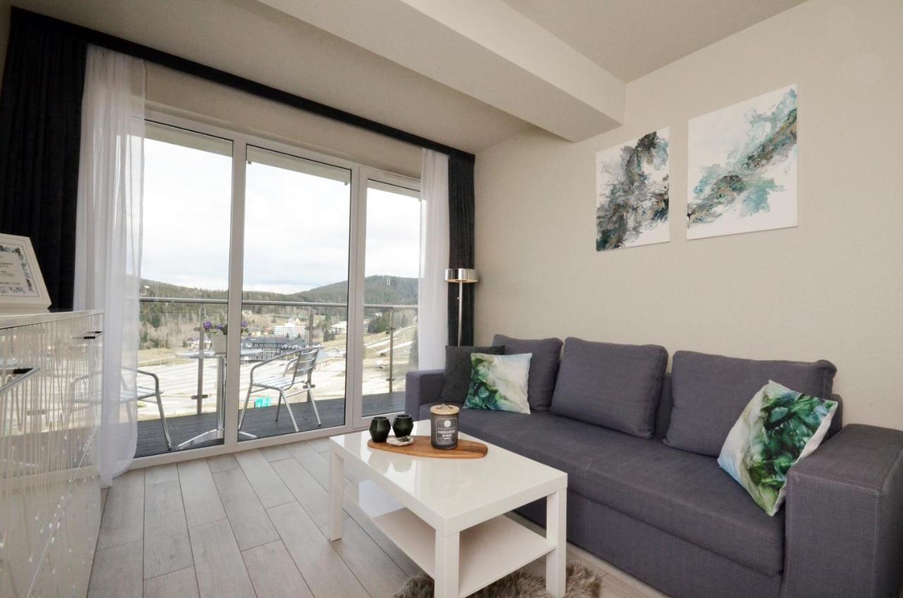 Apartamenty Biała Sowa Czarna Góra Sienna  Exterior foto